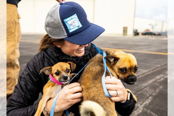 Growing Older with Gusto | Dr. Peter Rork | Saving Dogs