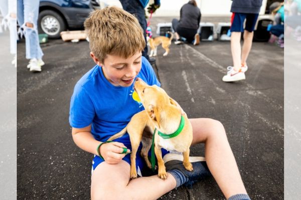 Growing Older with Gusto | Dr. Peter Rork | Saving Dogs